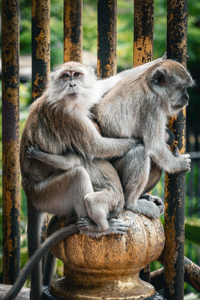 Photograph by Дулова Анастасия