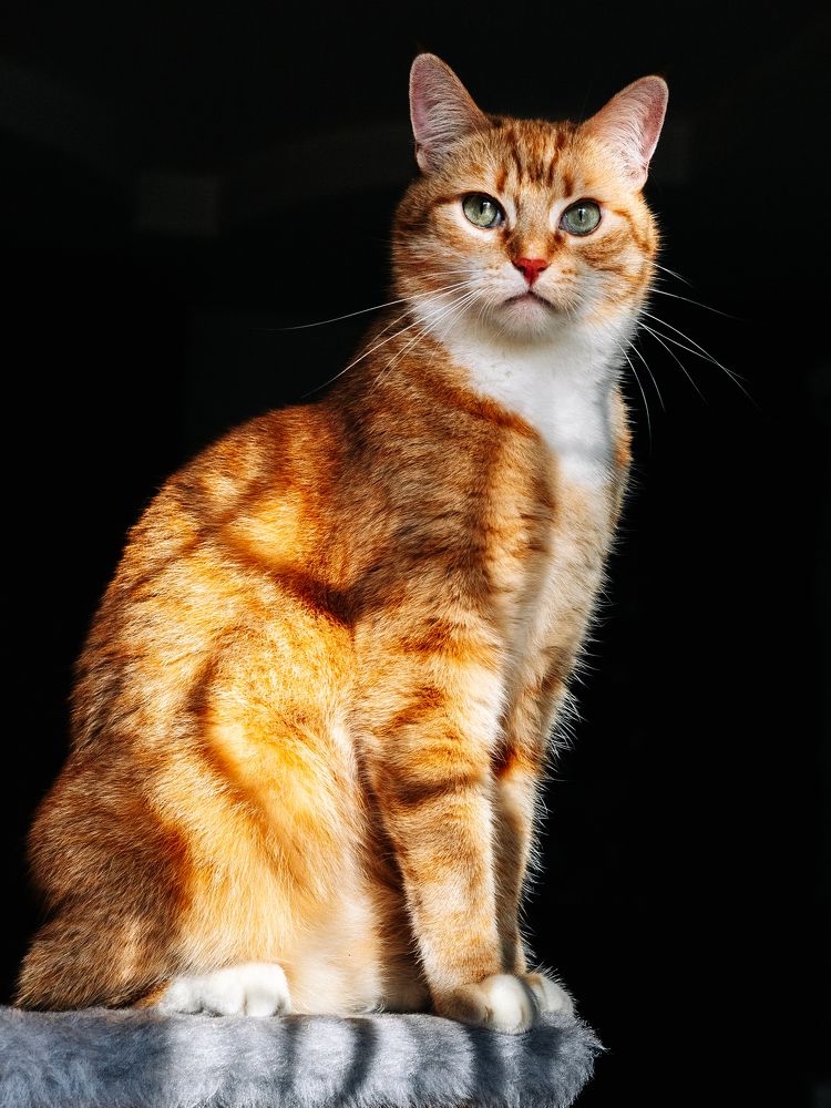 Photograph by Max Vegas