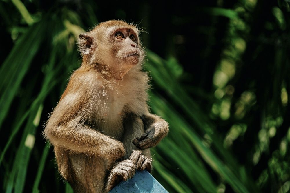 Photograph by Дулова Анастасия