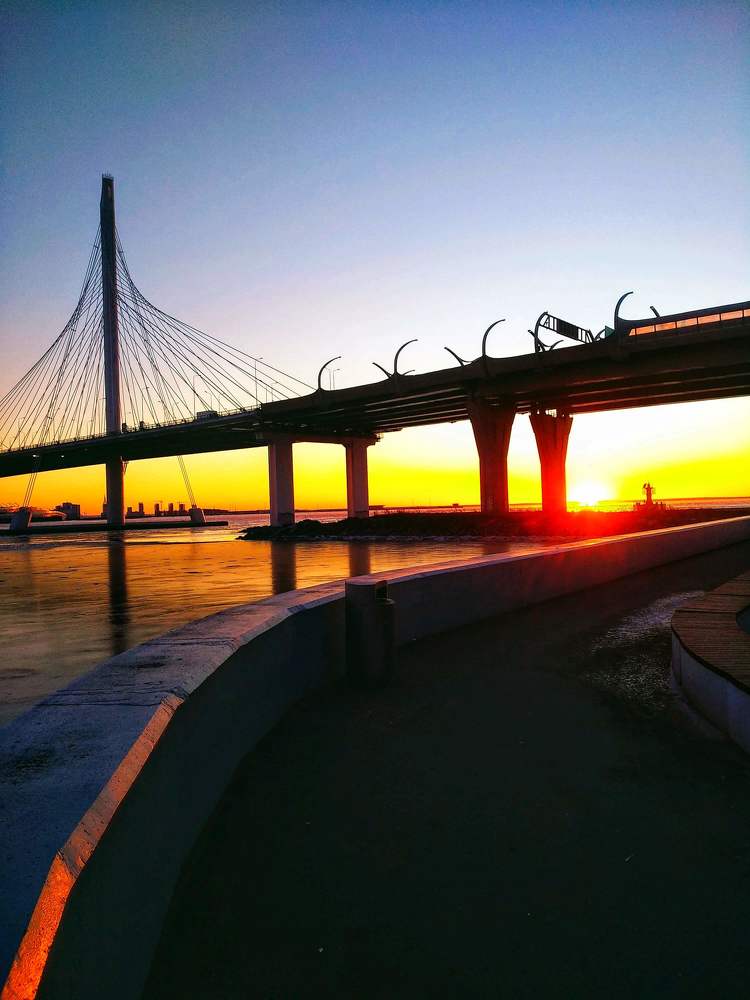 Фотография автора Марина Алексеевская