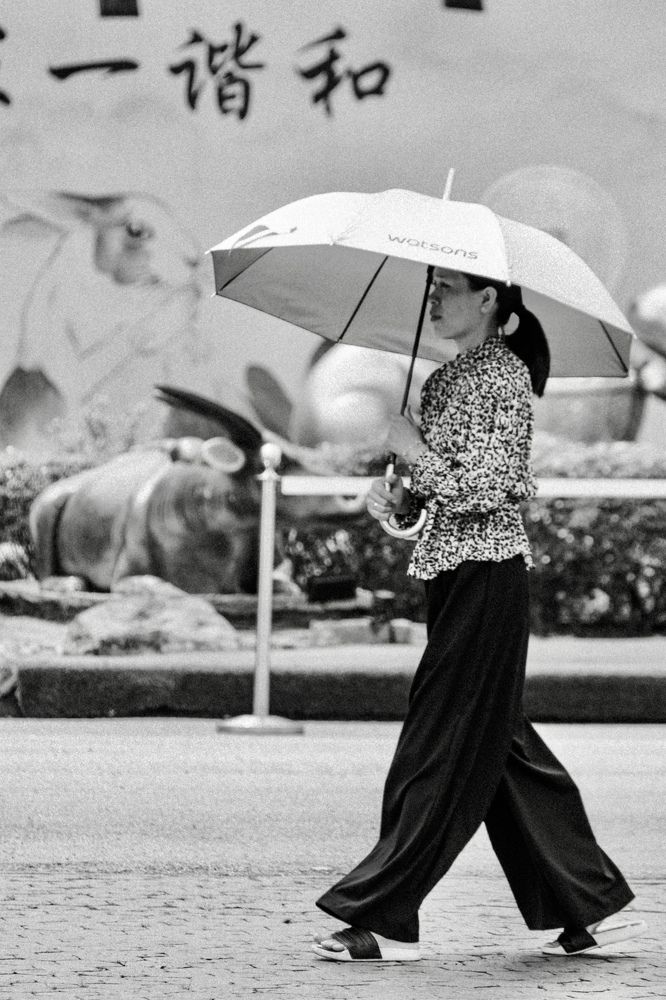 Photograph by Дулова Анастасия