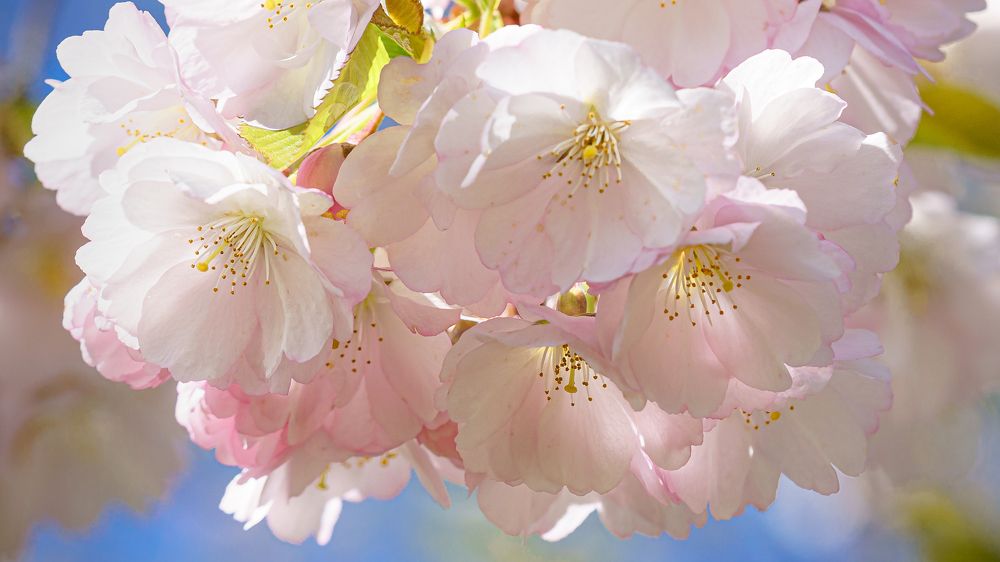 Photograph by Valdis Serzhans