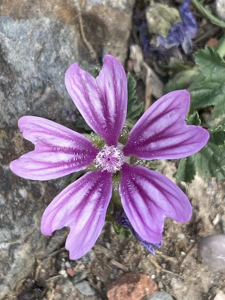Photograph by Юлия Давшан