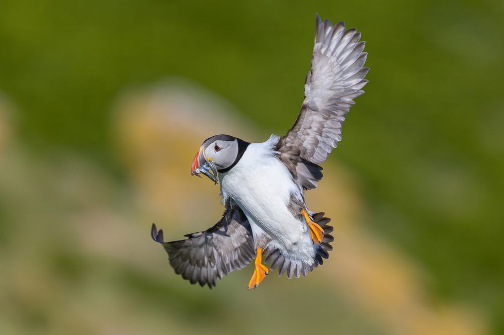 Photograph by Marco Rondi