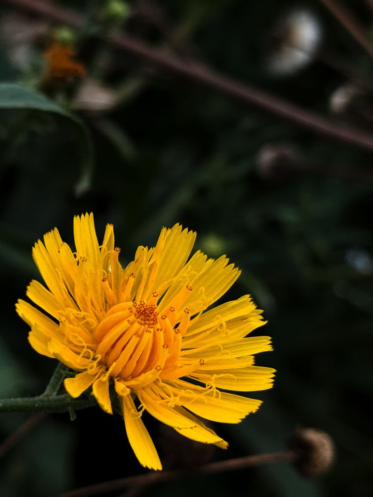 Photograph by Татьяна Шапочка