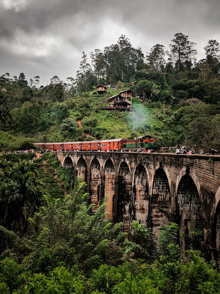 Фотография автора Ольга Шишук
