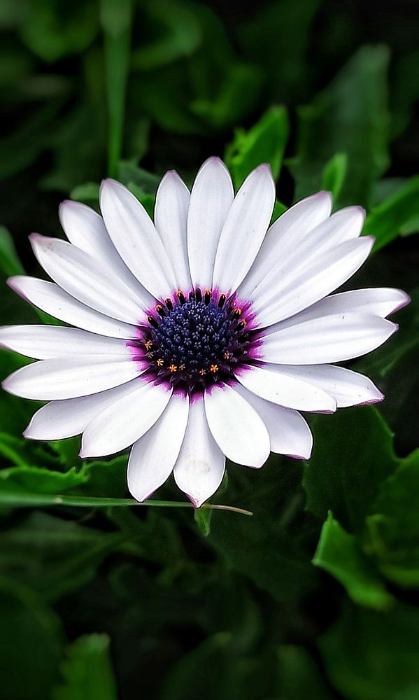 Photograph by Myrsini Charalampidou