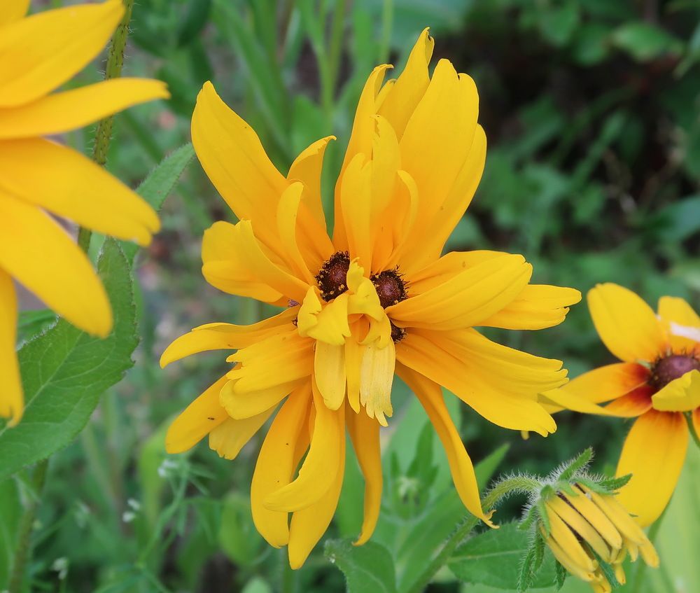 Photograph by Нина