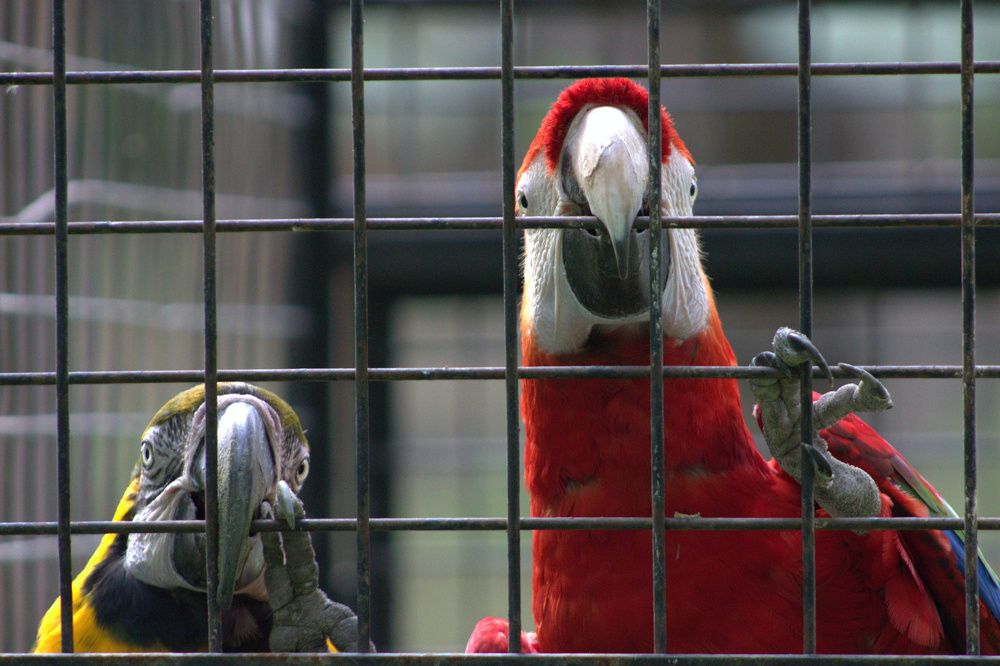 Photograph by Светлана Кравченко