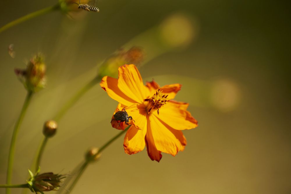 Фотография автора constantnine