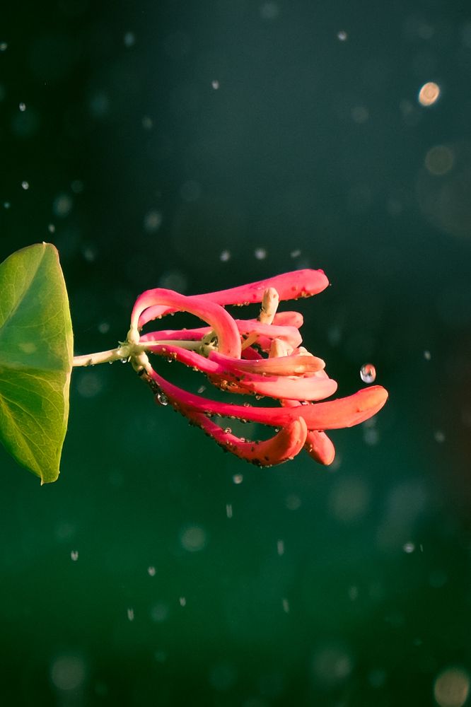 Photograph by Евгения Путинцева