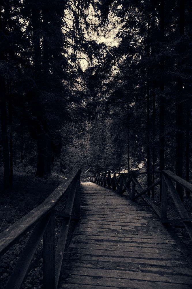 Фотография автора Войнов Дмитрий