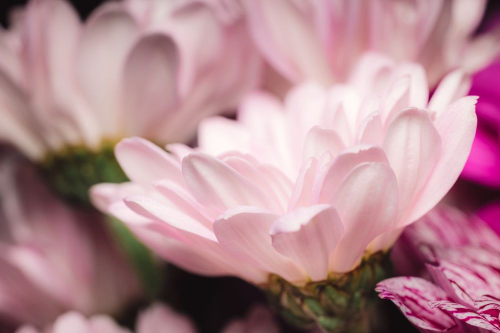 Photograph by Гукасян Геворк