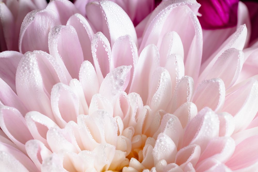 Photograph by Гукасян Геворк