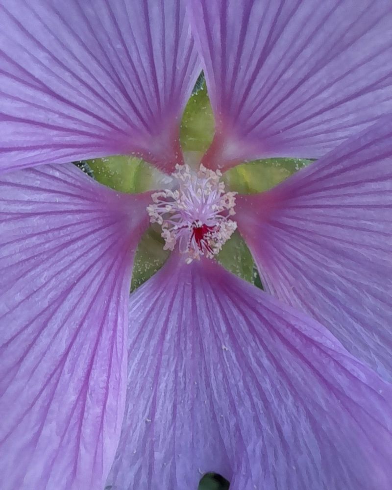 Photograph by Ольга Березовская