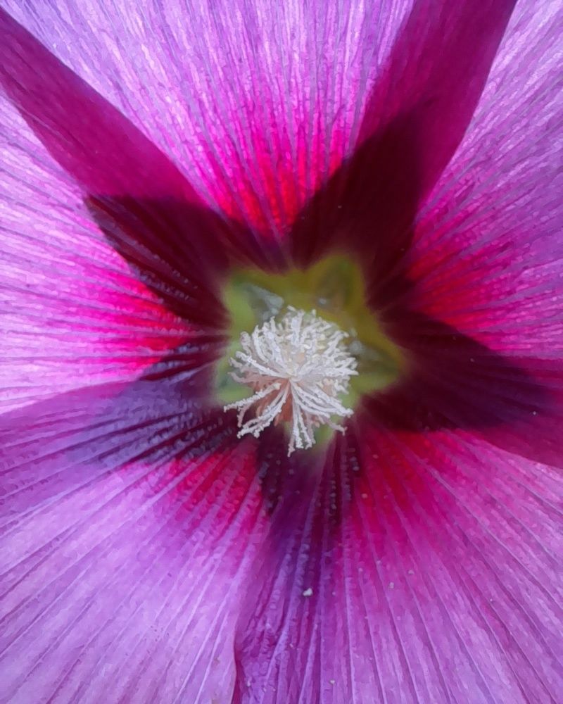 Photograph by Ольга Березовская