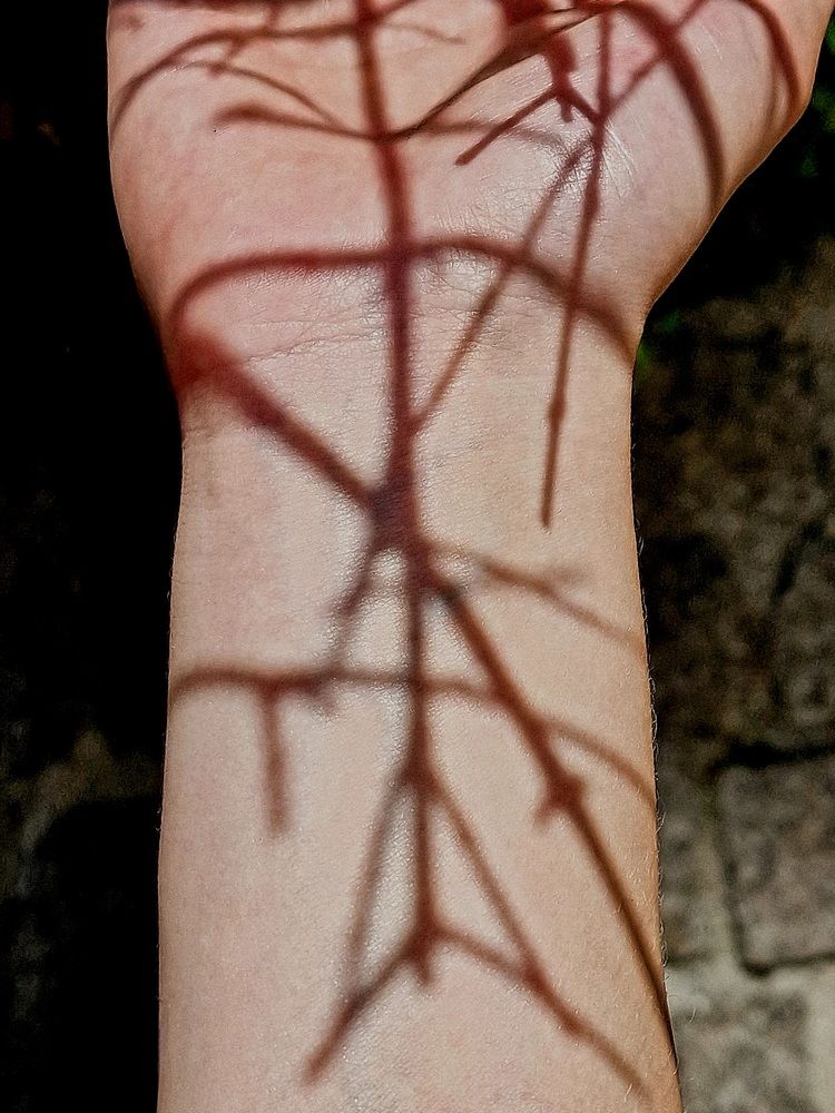 Фотография автора Maryna Pytliak