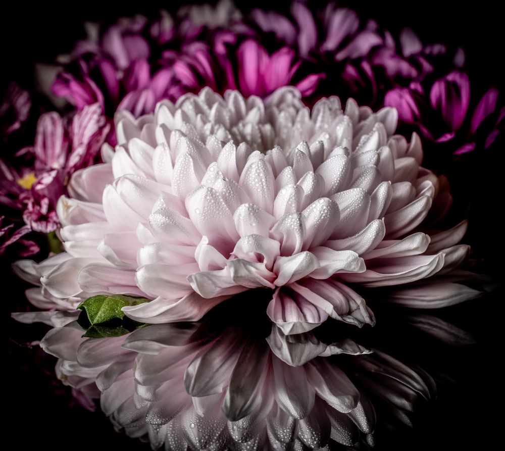 Photograph by Гукасян Геворк