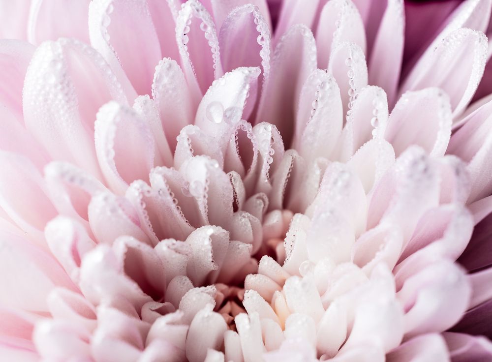 Photograph by Гукасян Геворк