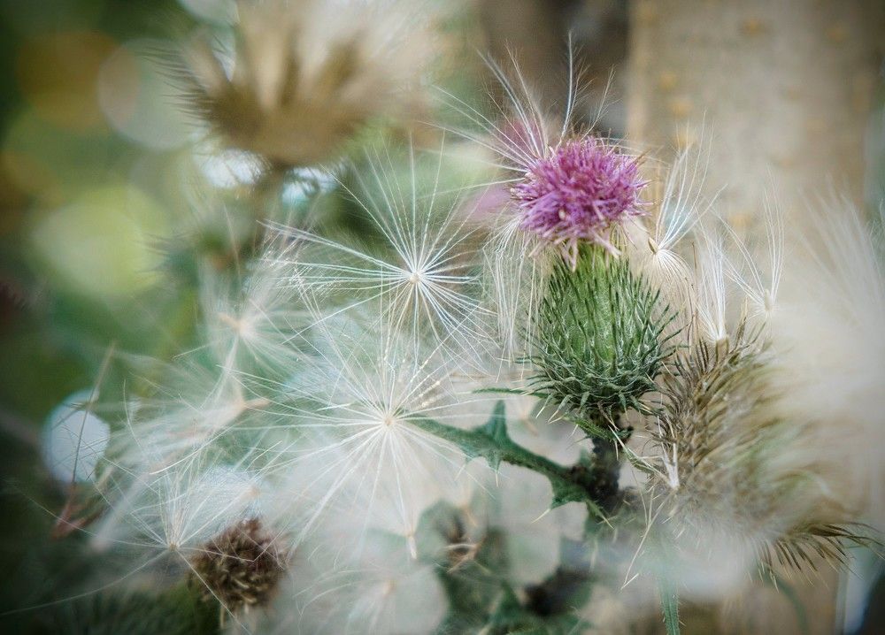 Photograph by Людмила Панюхина