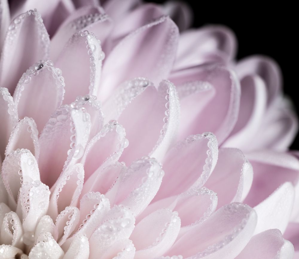 Photograph by Гукасян Геворк