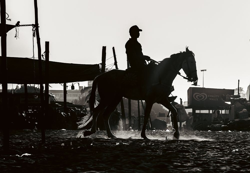 Silhouettes at Dawn: The Ride Begins