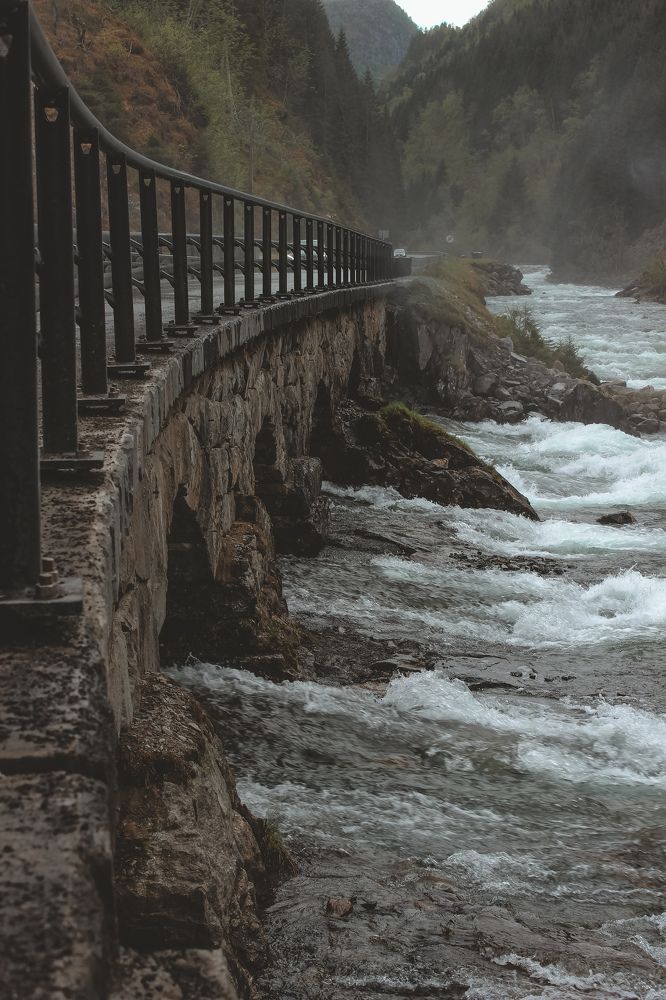 Photograph by Света Вирбицкас