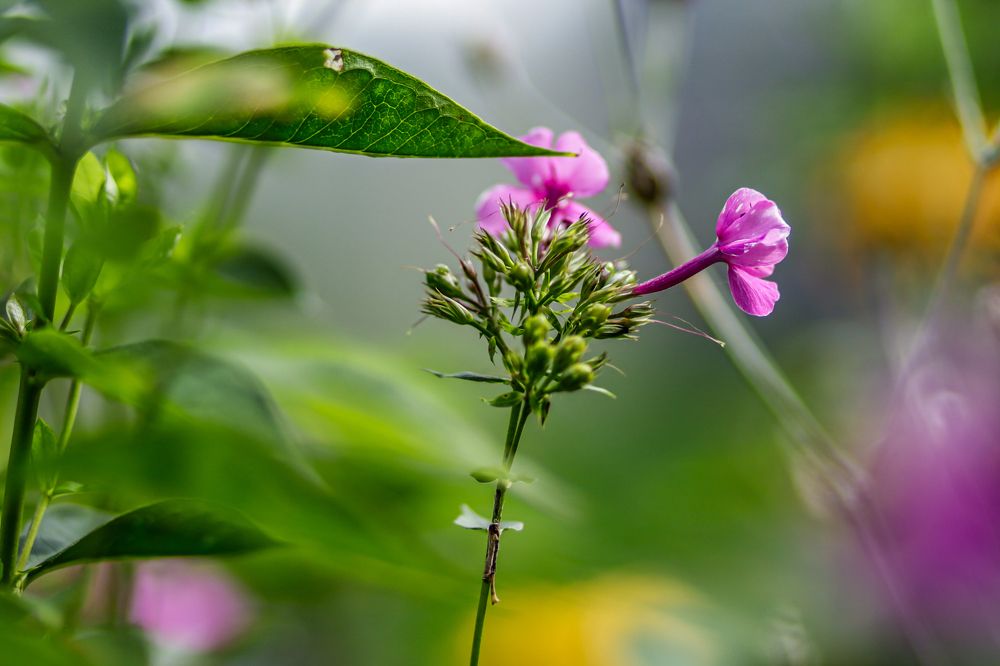 Photograph by Хельга Кольцова