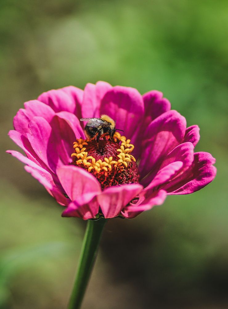 Photograph by Хельга Кольцова