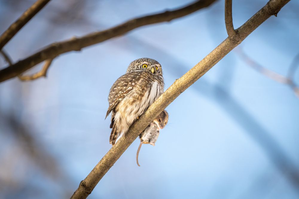 Photograph by Гукасян Геворк