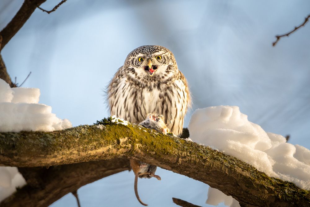 Photograph by Гукасян Геворк