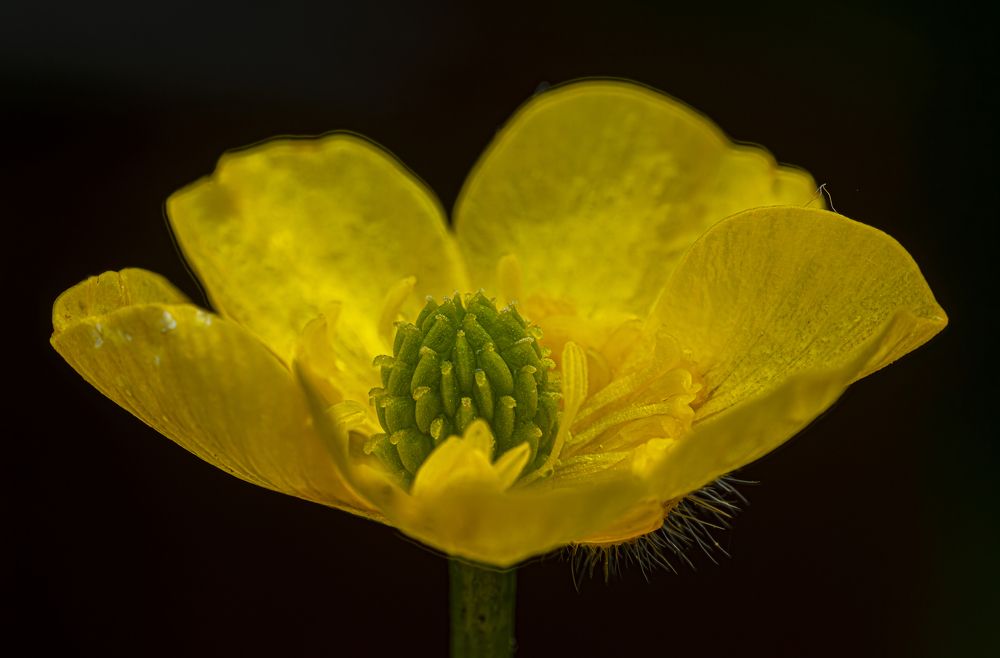 Photograph by Beshenyaga Media