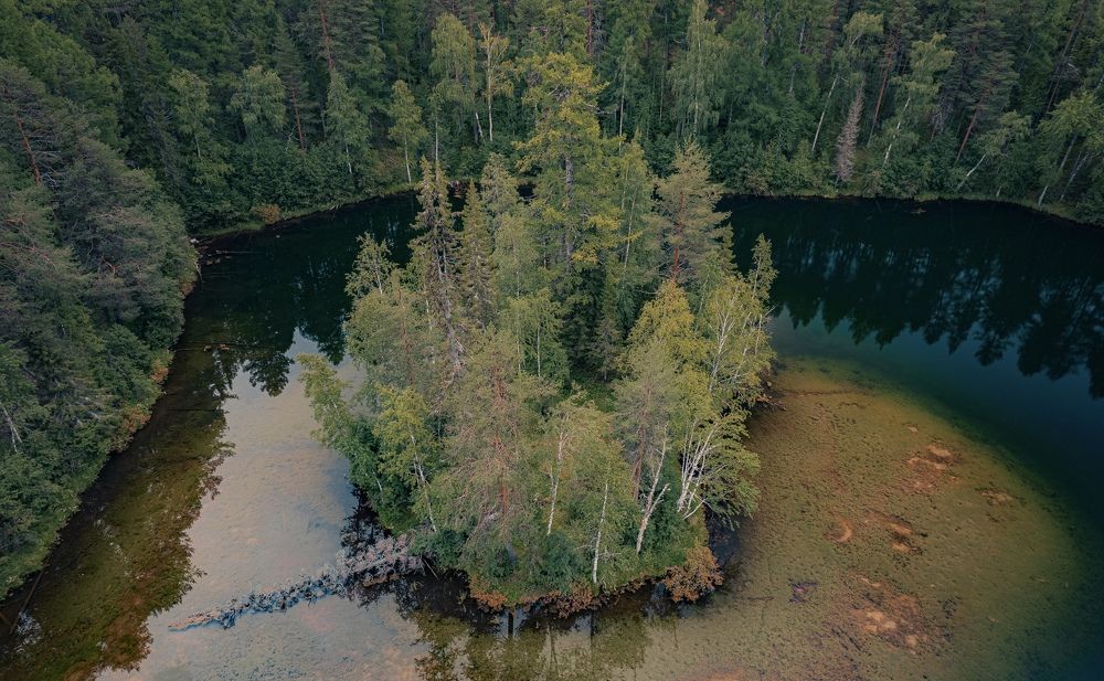 Photograph by Vladislav Trushkov