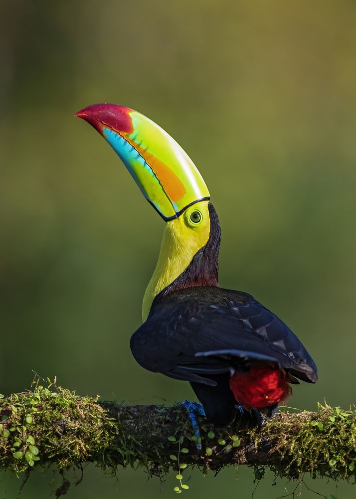 Photograph by Sreejith Sreedharan