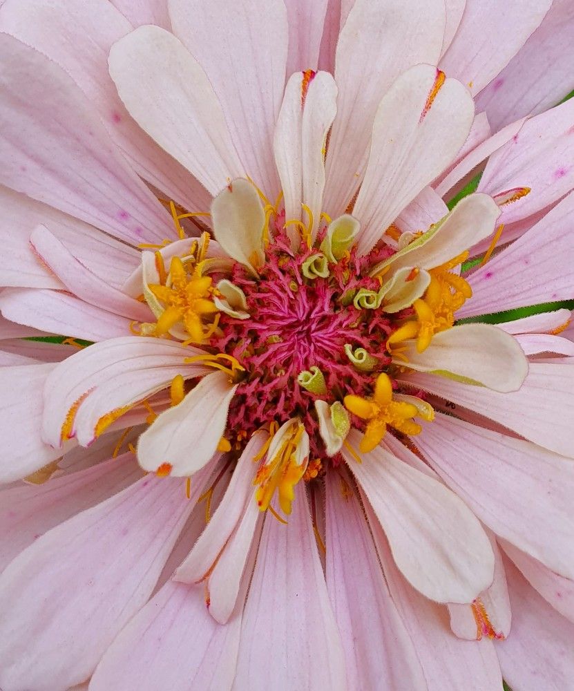 Photograph by Ева Кучугурова