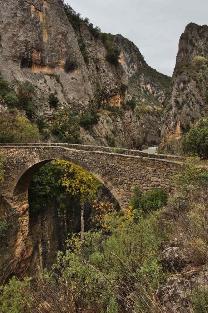 Photograph by Jose Antonio Moreira Silva