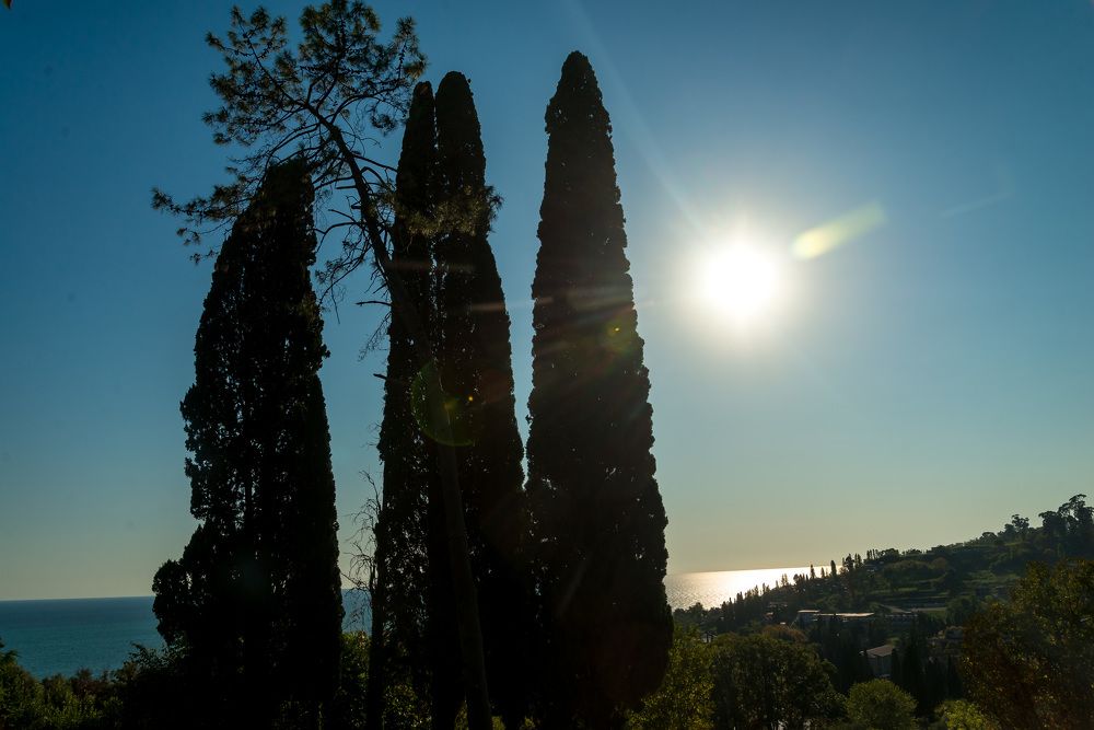 Photograph by Маргарита Матвеенкова