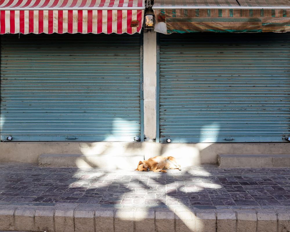 Photograph by NATACHA PERSYN