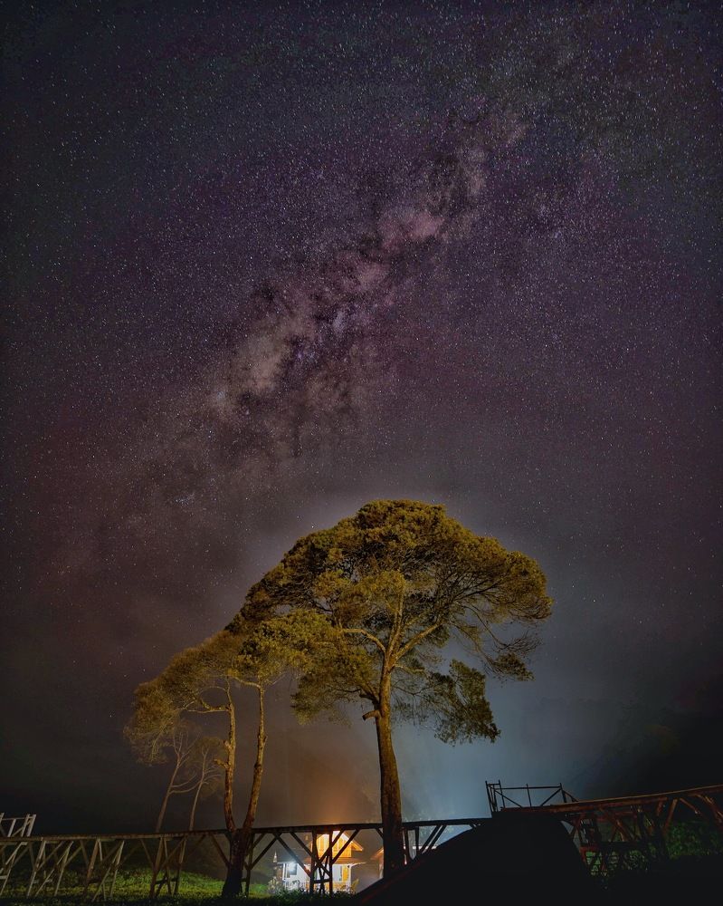 Photograph by mas julianto