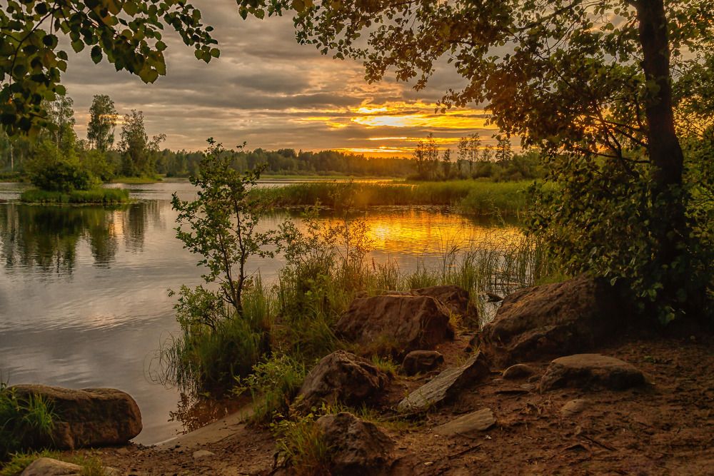 Фотография автора Ольга Егунова