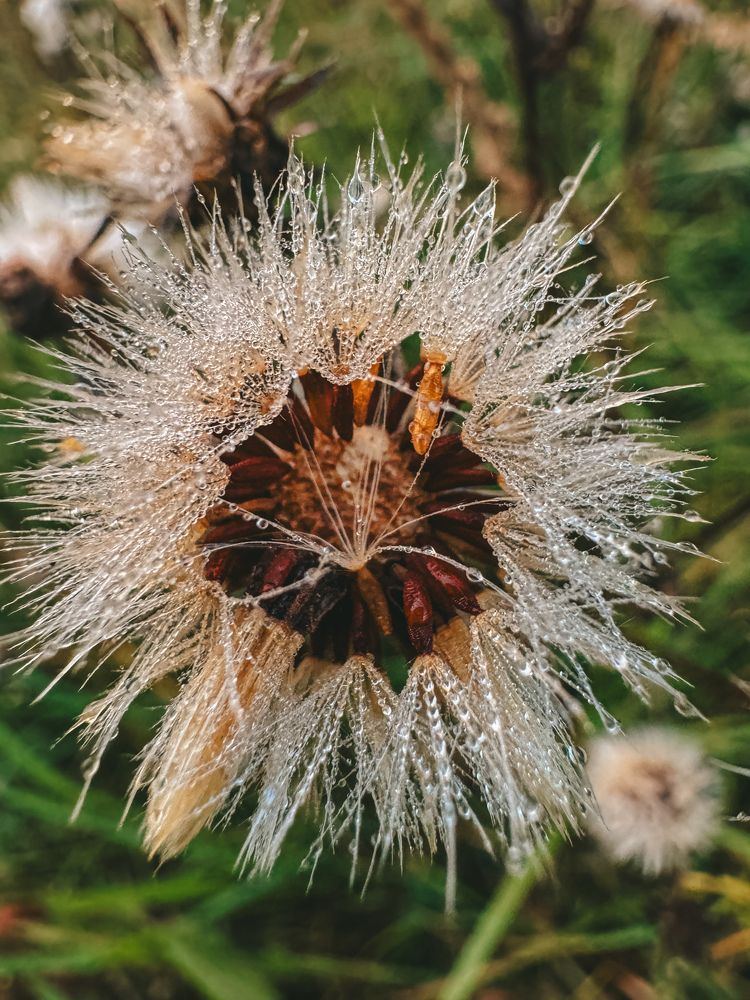 Photograph by Виктория Лаур