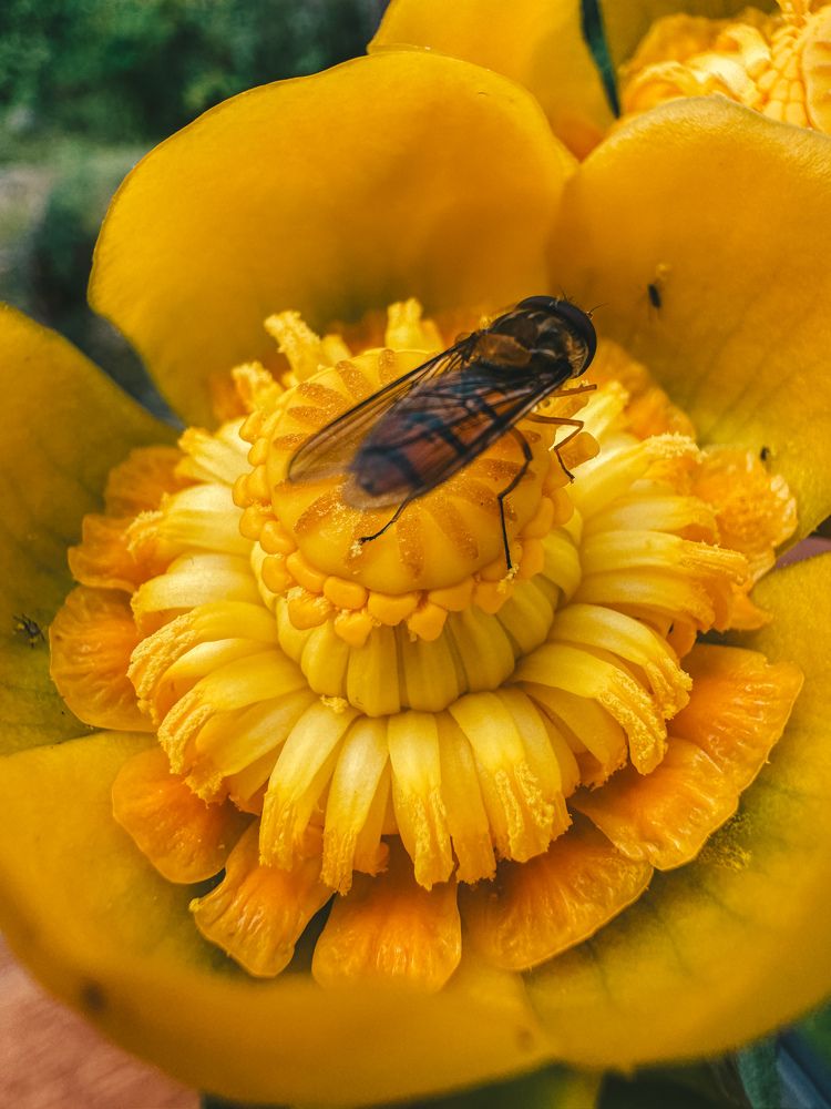 Photograph by Виктория Лаур