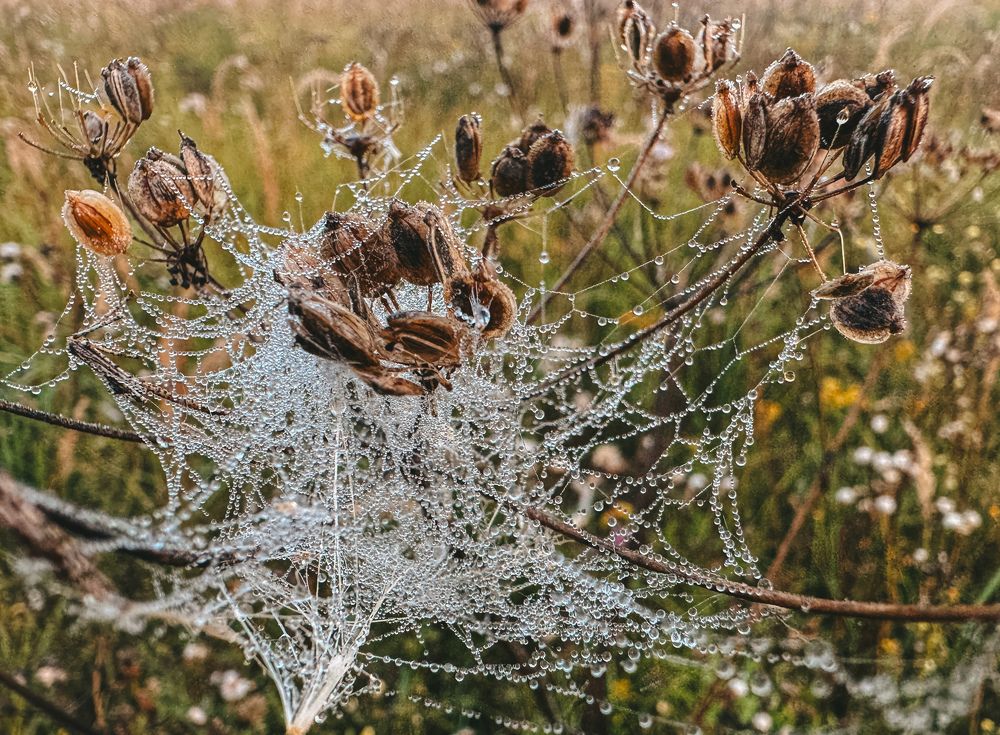 Photograph by Виктория Лаур