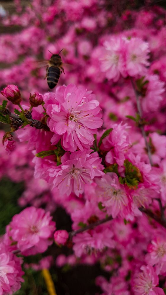 Photograph by Дарья Целуйко