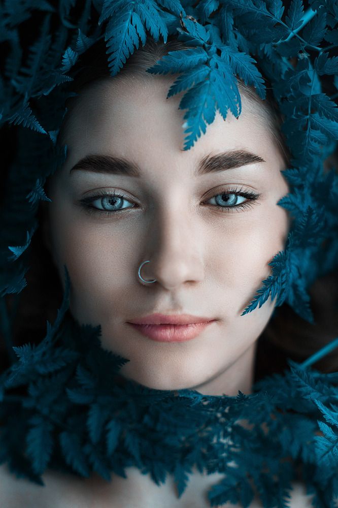 Оттенки папоротника