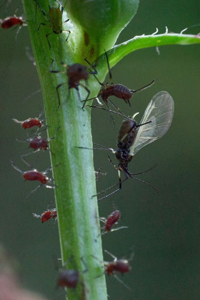 Фотография автора Дарья Улюсова