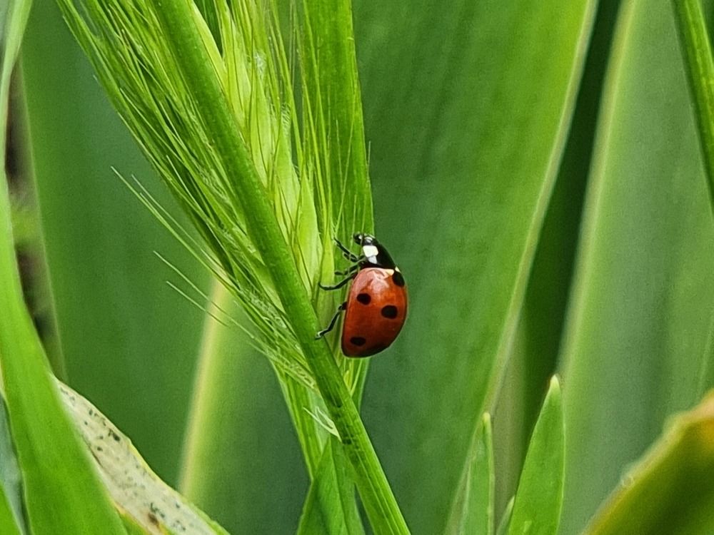 Photograph by Viktoriia Shylling