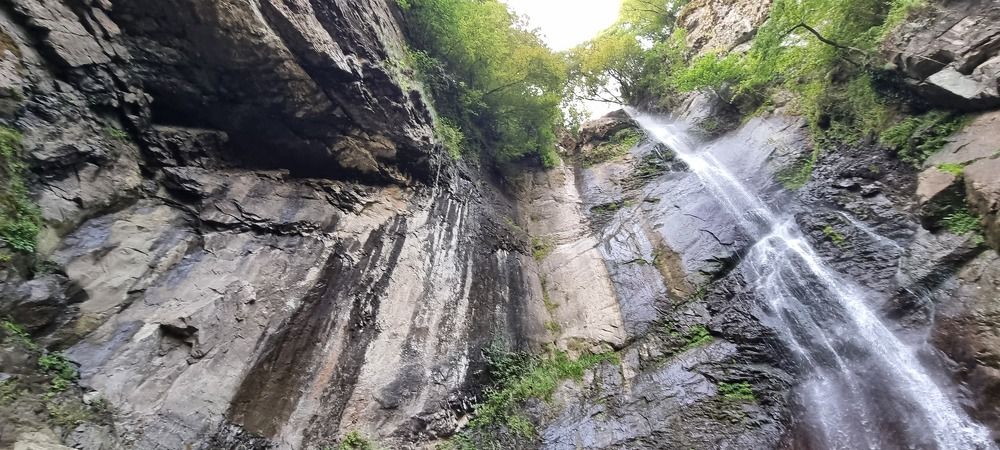 Photograph by Viktoriia Shylling