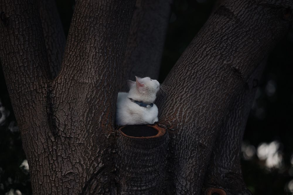 Photograph by Viktoriia Shin