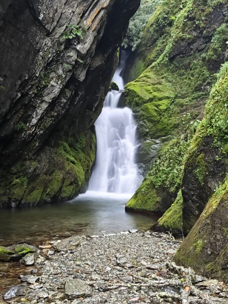Фотография автора Вера Красюкова